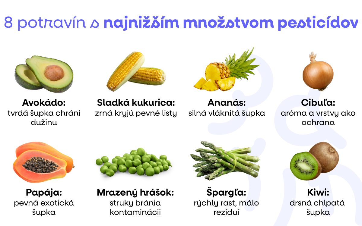 (Slovenčina) - 2025-08-31T190553.320